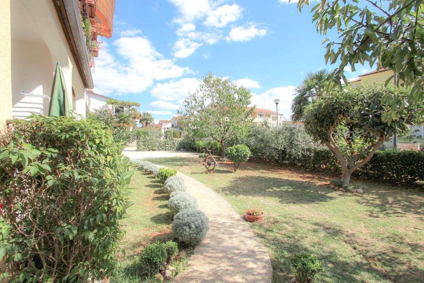 Apartments Maria Novigrad  Exterior photo