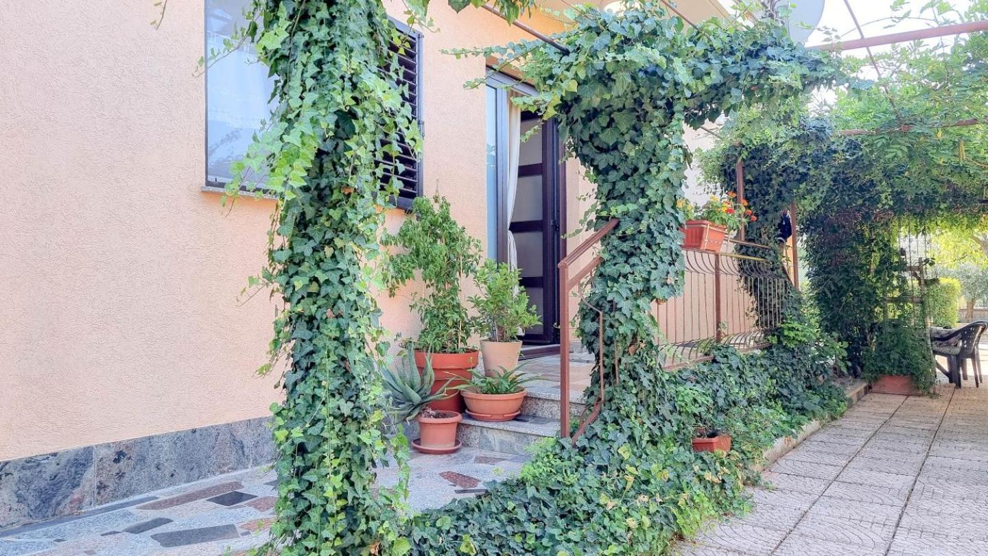 Apartments Maria Novigrad  Exterior photo