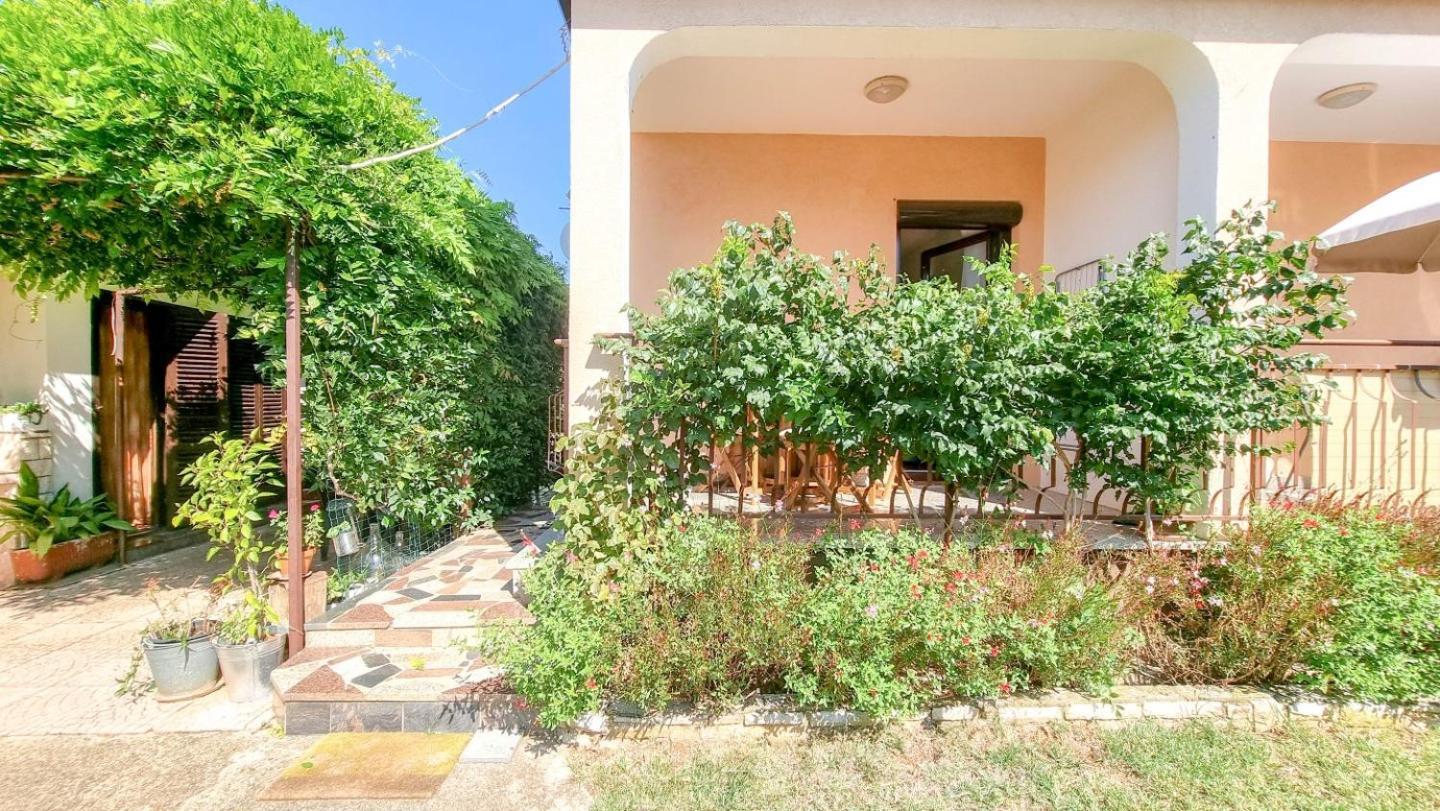 Apartments Maria Novigrad  Exterior photo