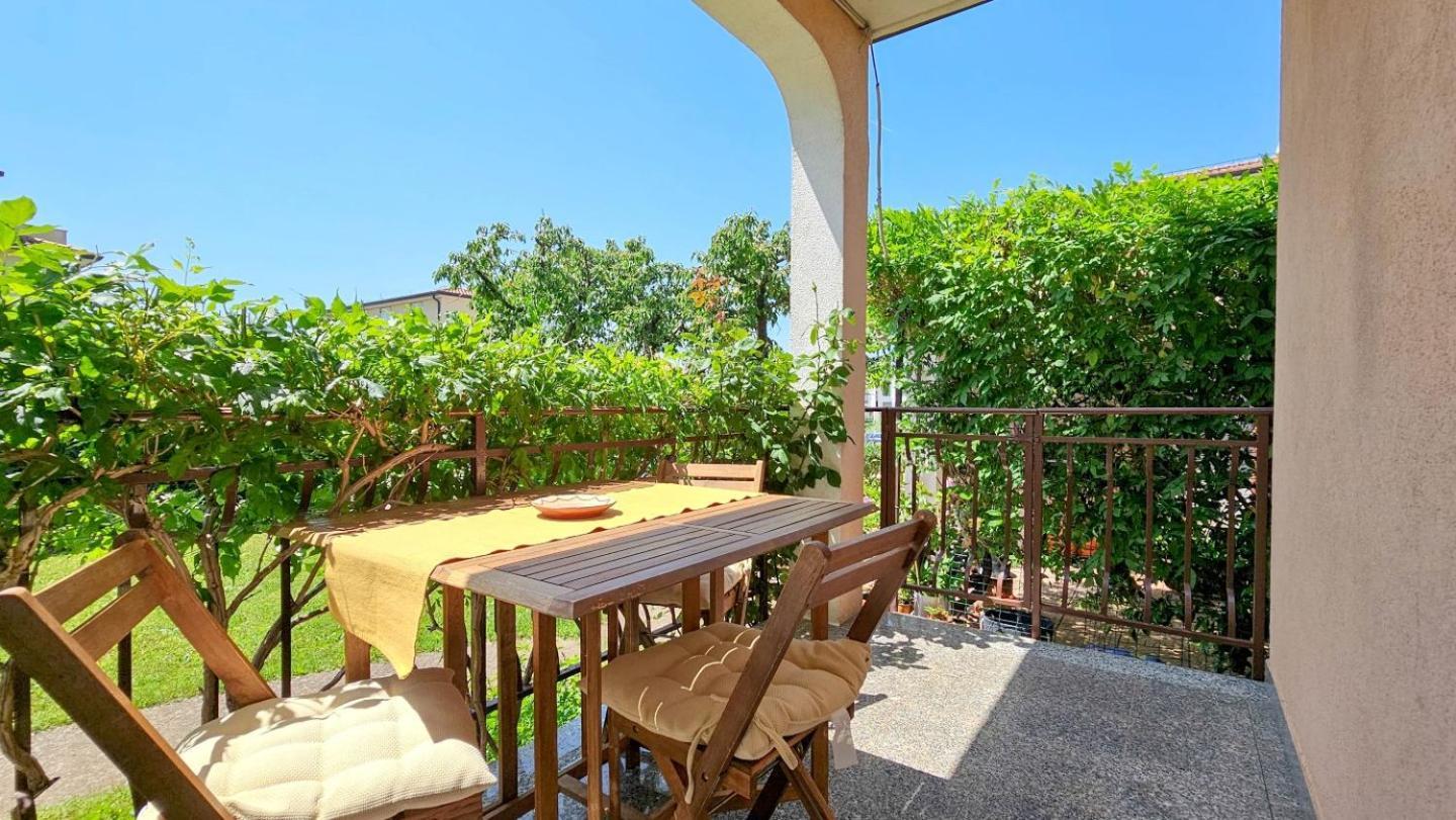 Apartments Maria Novigrad  Exterior photo